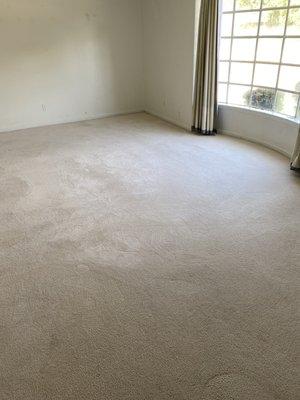 Recent carpet cleaning job.