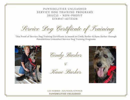 My service dog was adopted and trained through Pawsibilities. I have recently adopted his replacement from them and we are training there