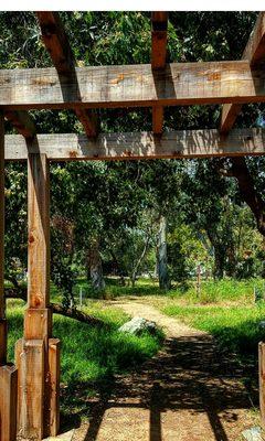 If you're looking for something to do, come take a nice stroll in our Eucalyptus Grove.