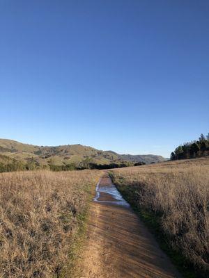 Magnolia Ranch Trail Head