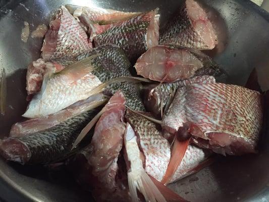 The chunks, getting ready to be bathed in hot oil! YUM!!!