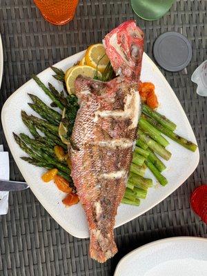 red snapper, whole. Grilled!