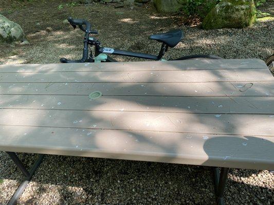 Bird poop and sticky pine sap table and my lovely bike! Thankfully my bike was not sticky after leaning against it for a second.