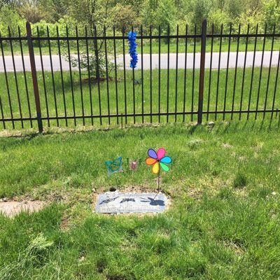 My mom's grave that is nice and weed free bc I cut the weeds back ever week.