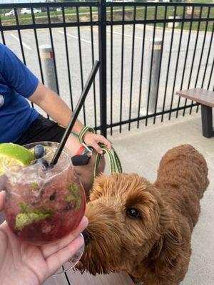 blueberry mojito w/puppers