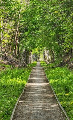 Cotton valley rail trail NH