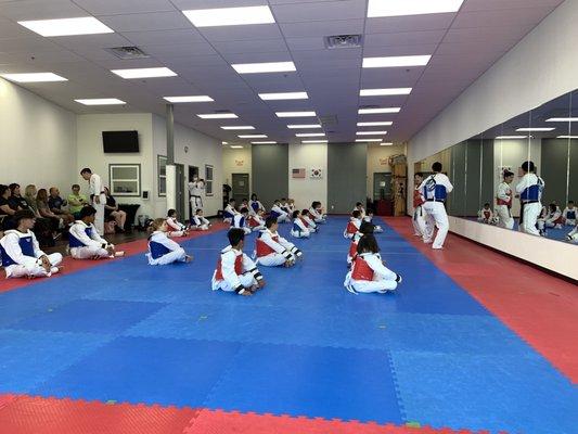 Upper belt level sparring course