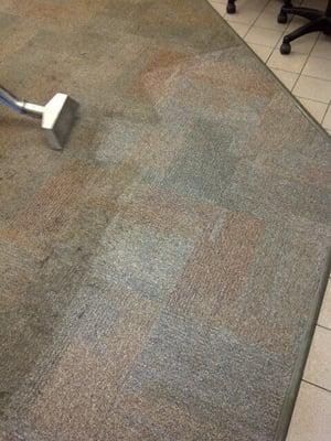 Office carpet cleaning