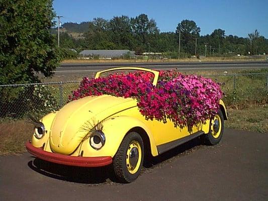 Volkswagen Flowerpot Bug
everyone loves and enjoys it