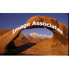 Image Associates