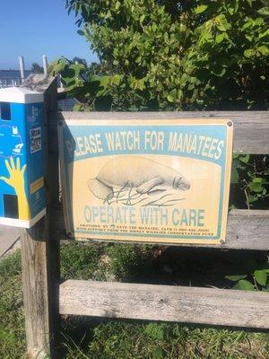 Watch for manatees