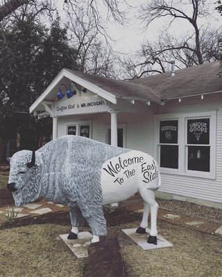 East Austin Buffalo