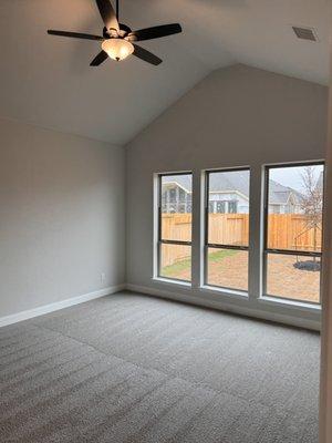 Carpet Cleaning of Family room