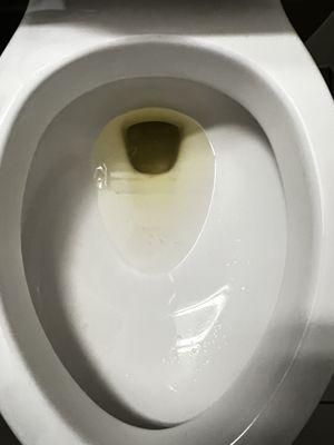 Urine left in the toilet of my "clean room"