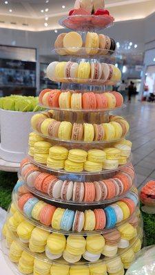 Macaroon soap