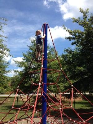 My little Berrian is a climber