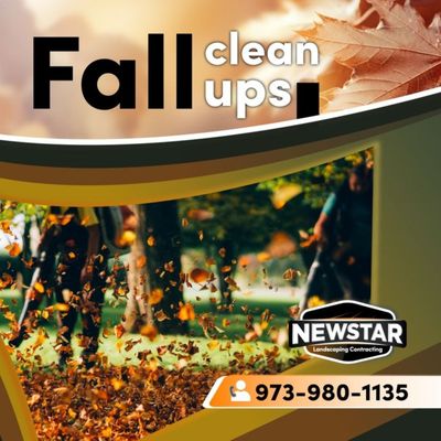 Looking for Fall clean up New star can help with any project.