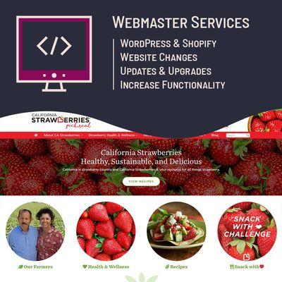 Webmaster Services