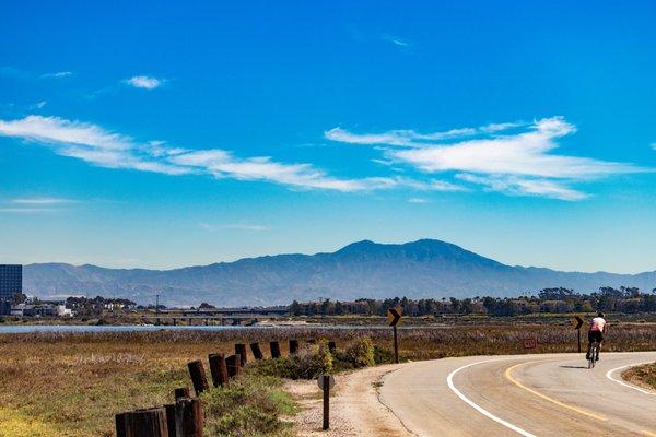 Bicycling along Newport Back Bay