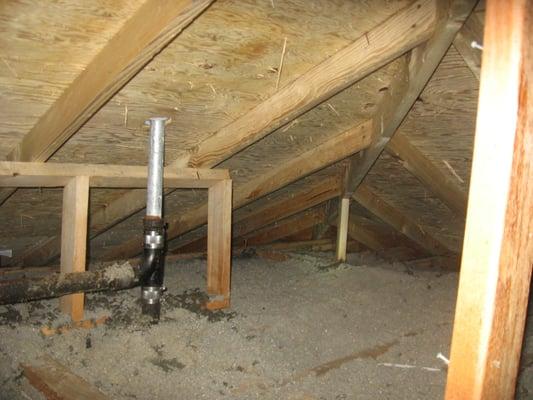 Attic Mold After Treatment          
          No "Painting" over Mold