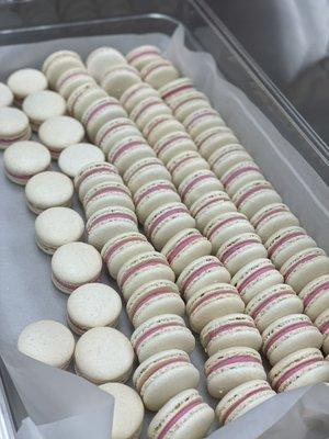 Macarons