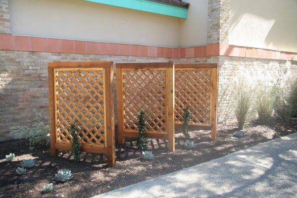 Custom Trellis