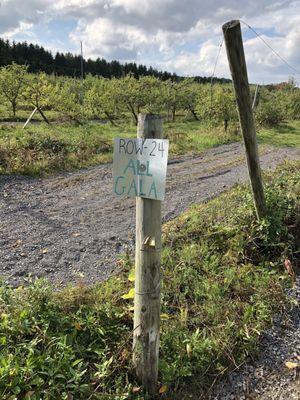 Terrace Mountain Orchard