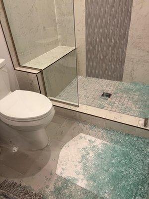 Shower door