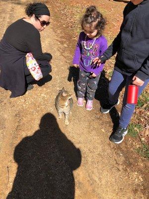 Had a friendly buddy stop to grab some pets from us on the trail!