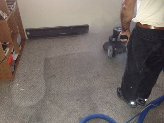 Here is a little preview of our Carpet Cleaning services