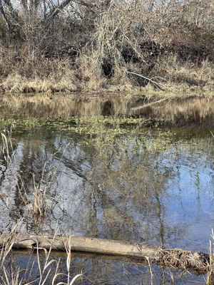 Modock Pond Side of Touvelle.