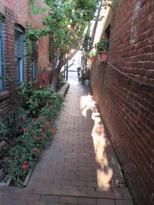 Entrance through the garden