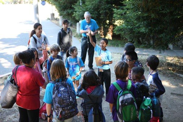 Enter the Redwoods for adventures in the forest.