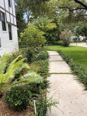 Front yard with butterfly garden, gardenia, palm, clusia hedges and walkway