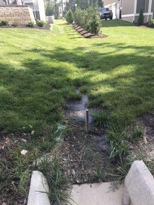 Standing water and mosquito breeding ground in storm swale that won't drain properly