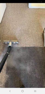 Carpet cleaners dallas