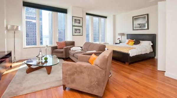 Cozy Studio in Financial District since 2010. 9.3% More on Rental Income.