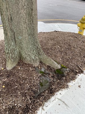 Landscaping weed blocker