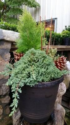 Plant a combination of broadleaf evergreens and conifers in your pots to replace your tired flowers from spring...