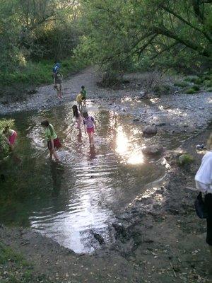 hiking in Sunol