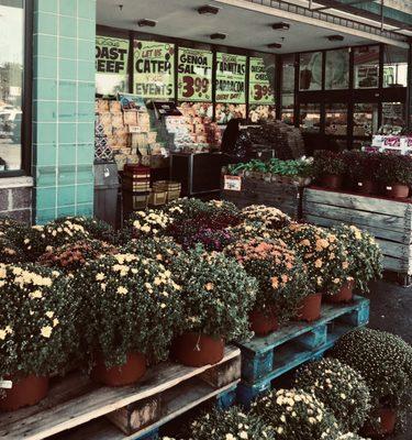 Así está la entrada del mercado en otoño cuando se venden crisantemos otoñales.