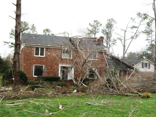 tree damage