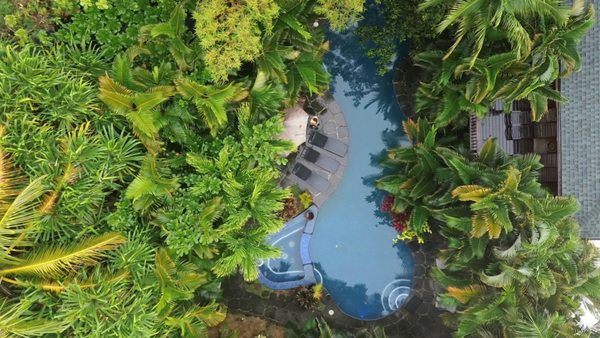 Pool area and tropical garden