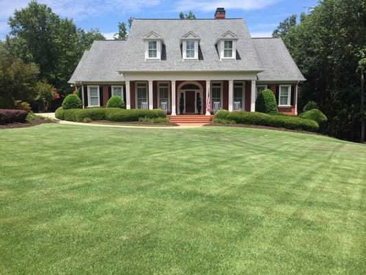 Another happy lawn