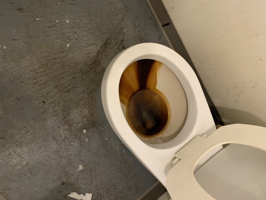 A better view of the said dirty dirty toilet