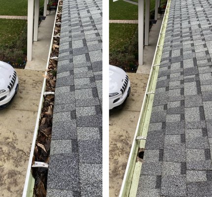 Gutter Cleaning