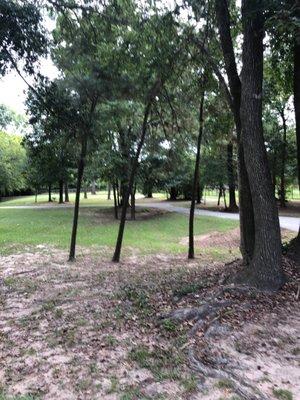 East Shadowlake Pocket Park