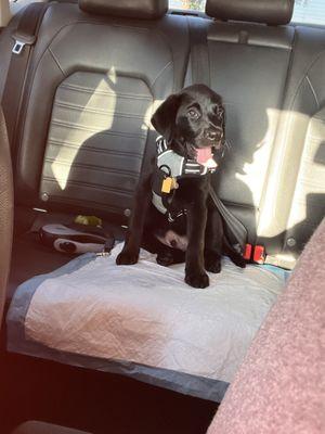 His first car ride.