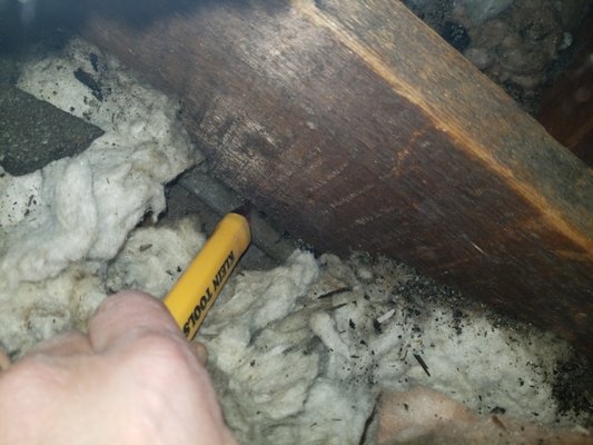 Knob & tube wiring covered with insulation in attic [fire hazard]