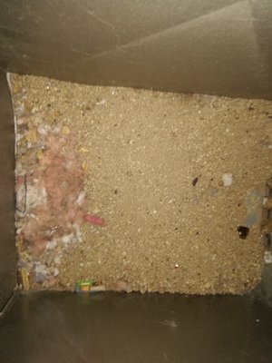 debris in the plenum box